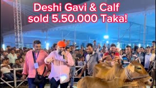 550k S*O*L*D Shahiwal Cow with cute Calf||Sadeeq Agro New Collection 2023