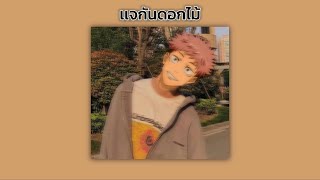 Z9 X BlackHeart - เเจกันดอกไม้〈 𝙨𝙡𝙤𝙬𝙚𝙙 + 𝙧𝙚𝙫𝙚𝙧𝙗 + 𝘽𝙖𝙨𝙨 𝙗𝙤𝙤𝙨𝙩𝙚𝙙 〉