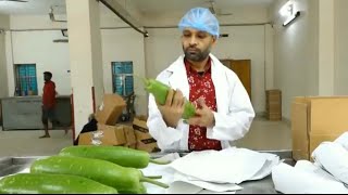 বিদেশে সবজি রপ্তানি প্যাকেজিং সেন্টার - vegetable and agro food export Process from bangladesh.