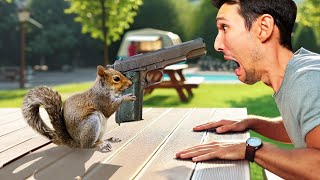 SCOIATTOLO *CON PIST0LA*  - Squirrel with a Gun