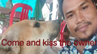 #Come #and #kiss #the #owner