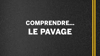 Comprendre le pavage, en 3 minutes top chrono