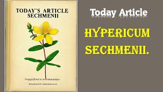 Hypericum sechmenii | Today Article