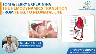 Tom& Jerry Explaining the Hemodynamics Transition from Fetal to Neonatal Life