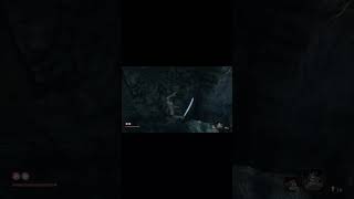 Sekiro- Within 5 Seconds How to kill the Mist Raven's feathers Guard 😂😂