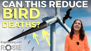 Blades vs Wings: Wind Turbine Technologies to Save Bats and Birds