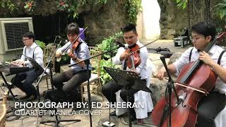 Photograph - String Quartet