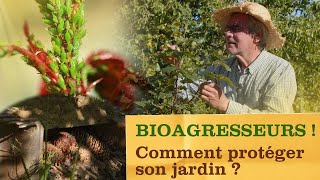 Comment protéger son jardin des bioagresseurs ? Repérage, traitements biocontrôles et auxiliaires...