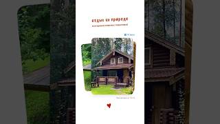 Пока веду монтаж видео с VK Fest, мы отдыхаем в коттеджах😍 #forest #nature #travel #природа #лес