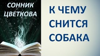 К чему снится собака. Сонник Цветкова. Толкование снов.