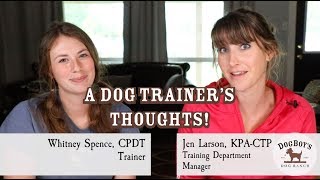 “What Does My Dog Trainer Actually Think (about me & my dog)?" | Dog Training & Wellness