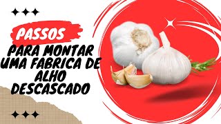 Montar Fábrica De Alho Descascado