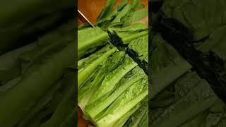 Let's cut Lettuce #satisfying #trendingshorts #trending #viralshorts #viralshort #shorts #short