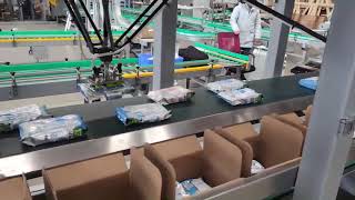 Robotic Case Packer for Random Infeeding, with Vision System Guided and Pouch Flattening Conveyor.