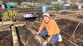 No 89 - Getting Beds Prepared For Beans & Carrots