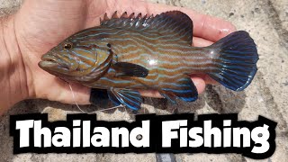 Catching Beautiful Tropical Fish in Thailand | Thailand Fishing 🇹🇭