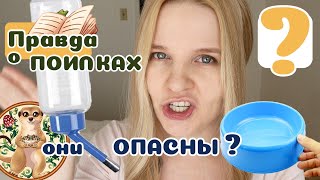 Как правильно поить мелких любимчиков?