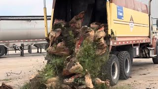 POV Yard Waste + unloading