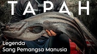 Lesen tapah akhirnya dalam pelukan // berburu mancing ikan tapah kalimantan barat part 1