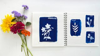 Summer Adventures in Your Botanical Sketchbook a Skillshare Class with Anne Butera