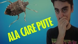 GANDACUL ALA CARE PUTE