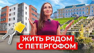 ПРОБЛЕМЫ и преимущества ПЕТРОДВОРЦОВОГО района для проживания