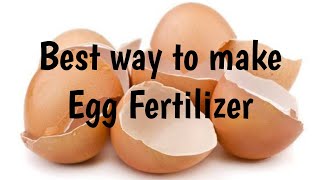 Egg shell fertilizer | How to use egg shell in garden|बगीचे में अंडे के खोल का उपयोग कैसे करें