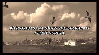 Biliyorum sana giden yollar kapalı | Cemal Süreya | Efsane yorum