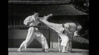 Shotokan Goshinjitsu Isudori 07