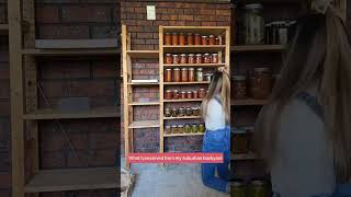 Organising my summer garden preserves!