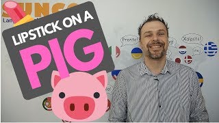 idioms 101 - lipstick on a pig