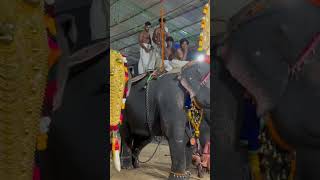 Peruvaaram temple Ulsavam🥳🫶👌❤️✌️