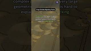 Crop Circles Mystery Facts #shorts #facts #cropcirclesfromtheair