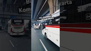 BUS PRIMAJASA, hunting bus di jalan tol #bismaniacomunity #busmania #primajasa