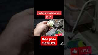 fosforlu emzik kaç para olabilir ki #fosforluemzik