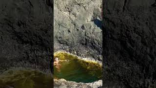 natural pool Canary Islands