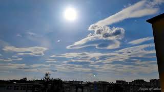 Altocumulus lenticularis timelapse Bydgoszcz 22 czerwiec 2023