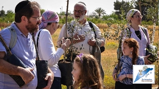 This Tu B'Shvat Help Farmers Replant Trees Burnt by Terrorists