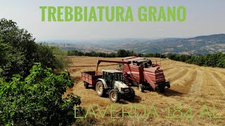 Trebbiatura grano. Mietitrebbia Laverda 184 AL - Guardia Lombardi (AV)