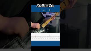 Animate - RUSH #geddylee #bass #fender #tabs #lesson #animate #music