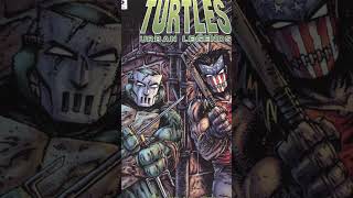 Why Did Raphael Wear Casey Jones Mask?