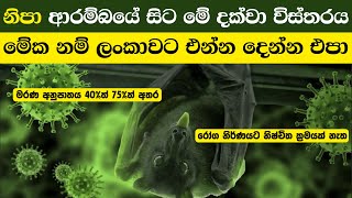 නිපා වෛරසයේ ආරම්බයේ සිට මේ දක්වා විස්තරය | Description of the Nipah virus from its inception to date