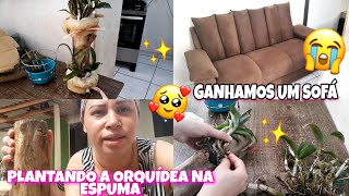 GANHAMOS UM SOFÁ PARA A NOSSA CASINHA/ PLANTEI A MINHA ORQUÍDEA