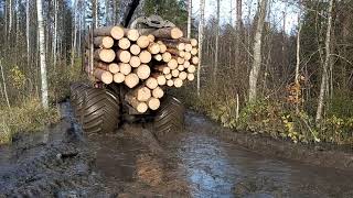 homemade forwarder(31.10.2020