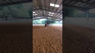 Lauren and Gwen canter transitions 7-29-20