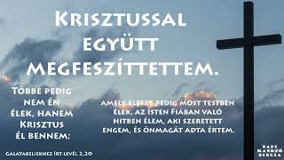 NAPI HANGZÓ BIBLIA - 174. RÉSZ - 06.23. - 2Kir 4,18-5,27; ApCsel 15,1-35; Zsolt 141,1-10; Péld 17,23