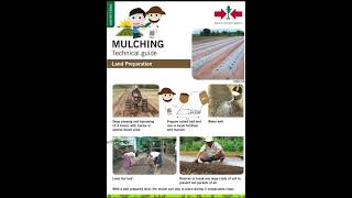 what is Mulching? Comparison b/w sheet mulch and straw mulch/ Step by step guidelines