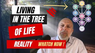 Kabbalah Secrets: How To Shift from The Tree of Knowledge To The Tree of Life