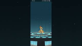 chimchar evolve in Pokemon go