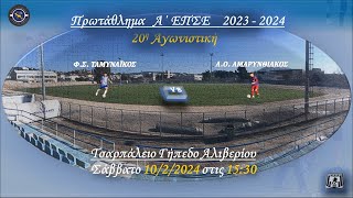 20η Ταμυναϊκός-Αμαρυνθιακός 2-0